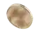 Bred Fortjenstad algoritme